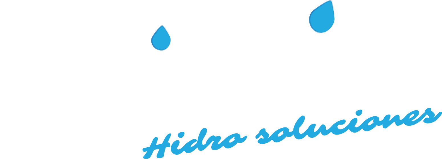 logotipo Bawi hidrosoluciones